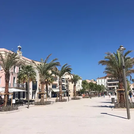 Emplacement Ideal, Vue Mer, Parking Offert Appartement Sanary-sur-Mer